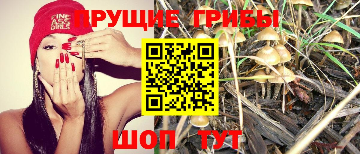 Галлюциногенные грибы ЛСД Шатура