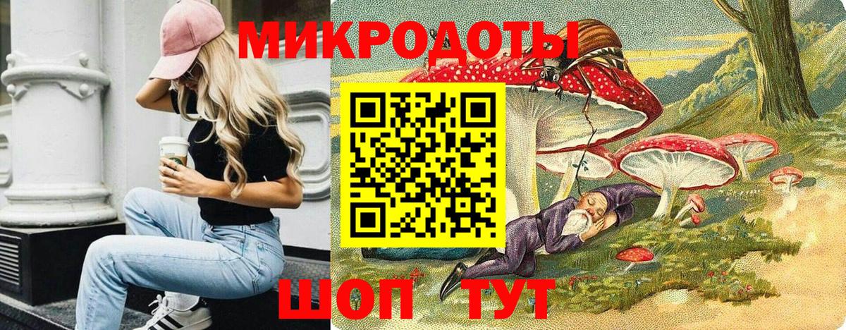 Псилоцибиновые грибы Psilocybe  Вход с VPN  Шатура 