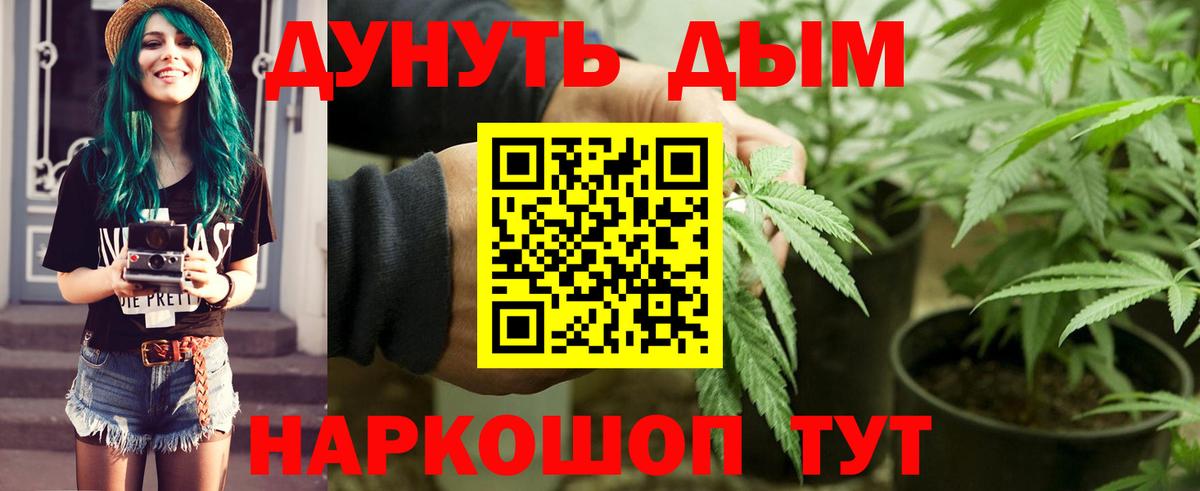 Шатура  Канабис конопля  Марихуана сатива  Вход с VPN  Конопля планчик 